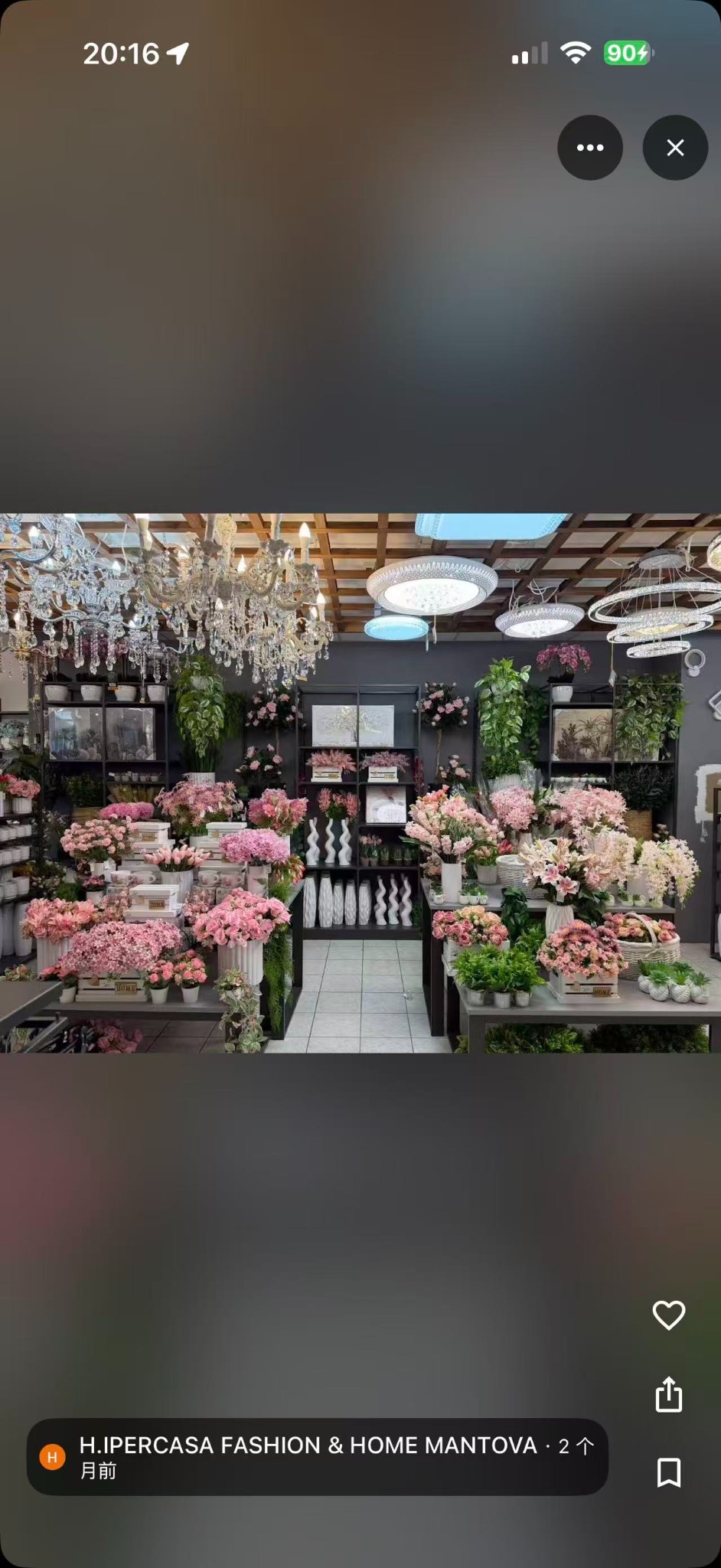 Fiori decorativi e illuminazione
